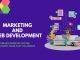 How Marketing and Web Development Work Together Web Development