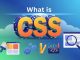 What is CSS? A Complete Guide for Web Development Beginners