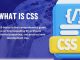 What is CSS? A Complete Guide for Web Development Beginners CSS
