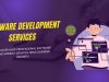 How Software Development Services Drive Business Growth