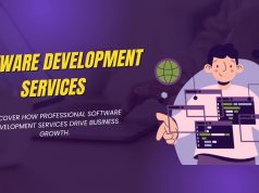 How Software Development Services Drive Business Growth