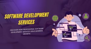 How Software Development Services Drive Business Growth