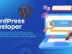 How to Become a WordPress Developer Your Complete Guide WordPress Developer