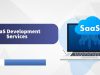 SaaS Development Services: Your Complete Guide to Building Software Solutions SaaS Development Services